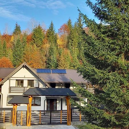 Cabana Ioana Воронец Екстериор снимка